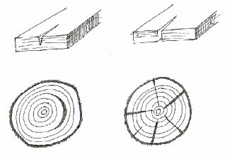 Image showing check, split, ring shake and star shake in a wooden boards and logs